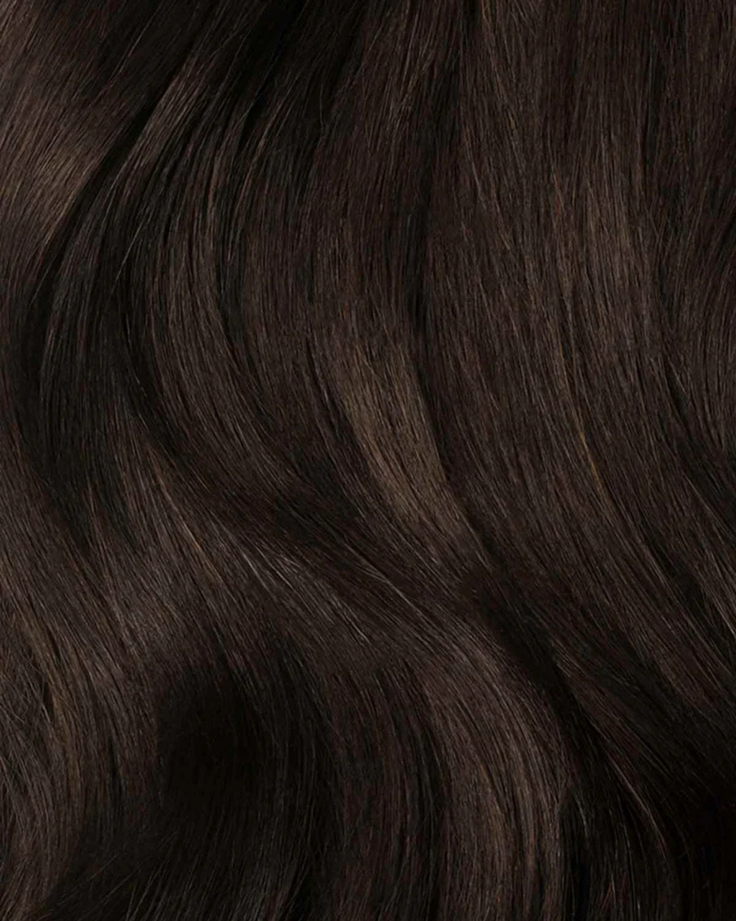 Brun Chocolat